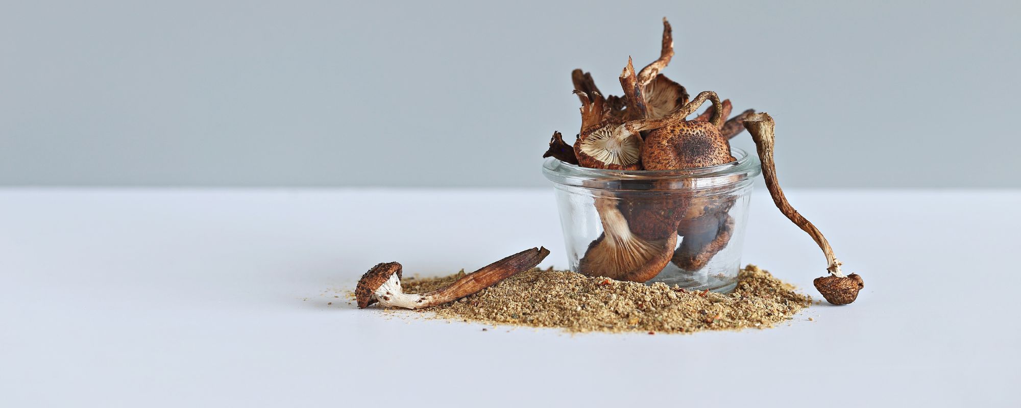 How do Mushrooms Affect the Body?