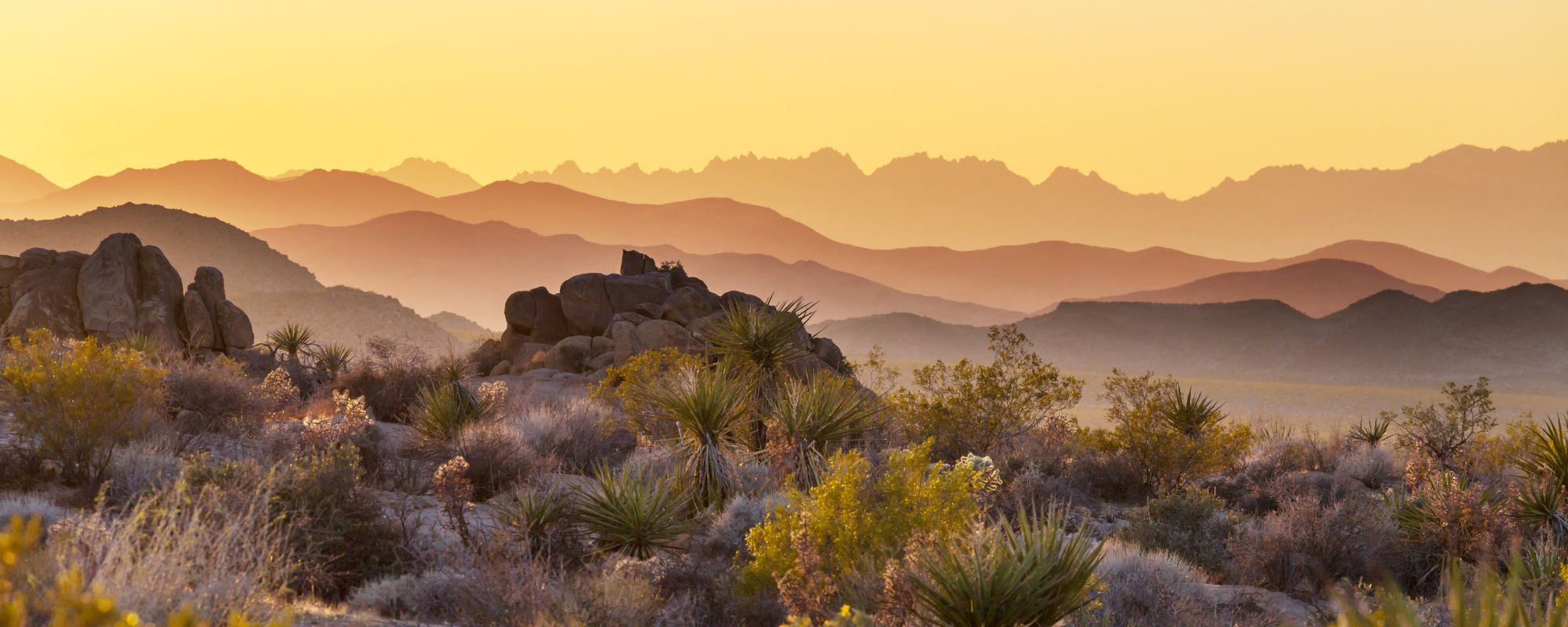 How Do Cocaine Rehabs in Arizona Help with Sobriety?