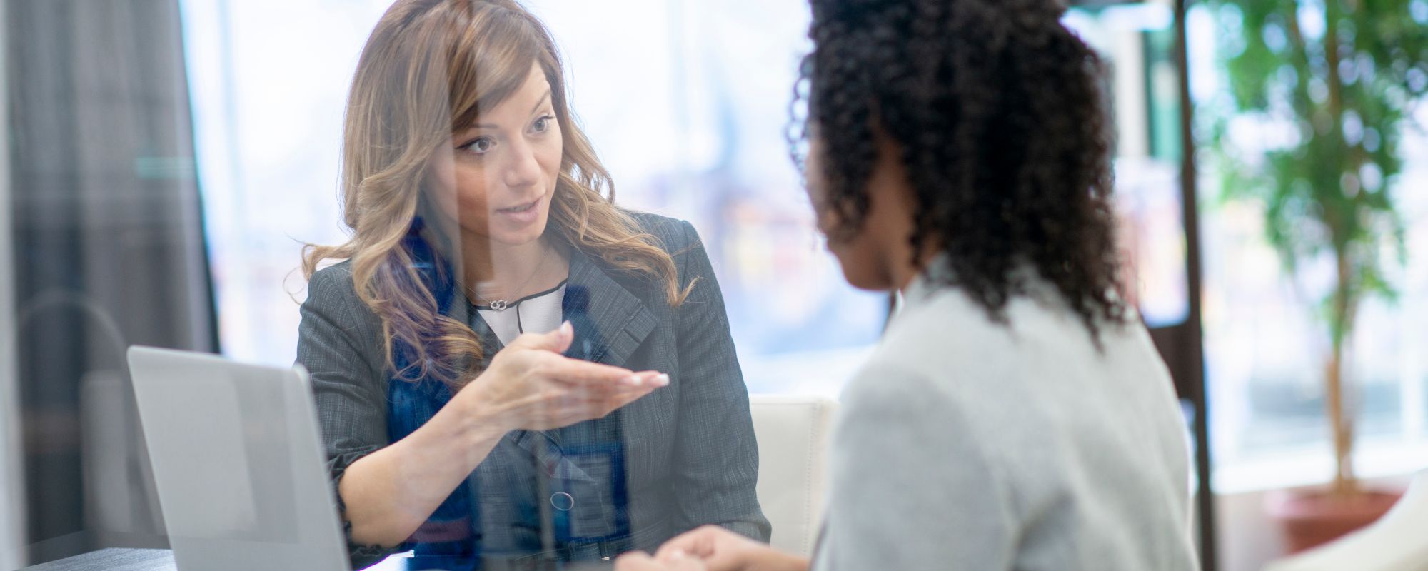 What Blue Cross Blue Shield Is — and How Its State Plans Work